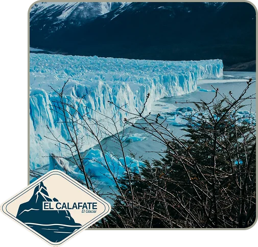 calafate-stickers